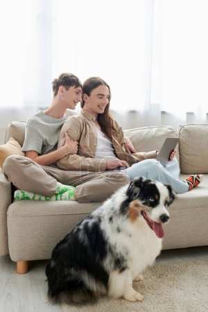fröhlicher schwuler Mann sitzt auf Couch mit glücklichem Freund in lässiger Kleidung und benutzt Laptop zusammen in der Nähe von australischem Schäferhund im Wohnzimmer in moderner Wohnung 