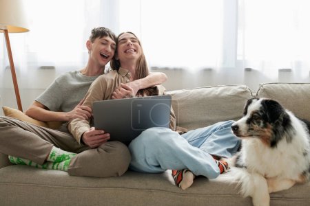 fröhliches homosexuelles Paar in lässiger Kleidung, das sich umarmt und Laptop benutzt, während es zusammen auf einer bequemen Couch mit Kissen neben pelzigen Freund im modernen Wohnzimmer sitzt 