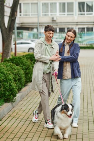 fröhliche schwule Männer in lässigen Outfits, die einen australischen Schäferhund an der Leine halten, während sie zusammen ausgehen und in der Nähe grüner Büsche und moderner Gebäude an der städtischen Straße lächeln 