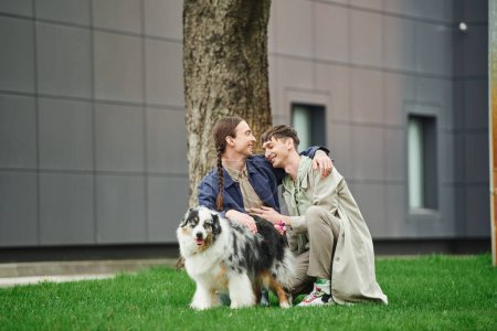 happy gay couple hugging and sitting on green grass near Australian shepherd dog while walking out together and smiling near tree and modern building on blurred background of urban street 