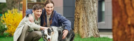 happy gay couple hugging and sitting on green lawn while cuddling Australian shepherd dog and smiling near tree trunk and modern building on blurred background on street, banner 