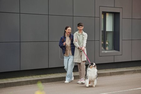 fröhlicher schwuler Mann in lässigem Outfit, der einen australischen Schäferhund an der Leine hält, während er mit seinem aufgeregten Freund mit Zöpfen in der Nähe eines modernen grauen Gebäudes spazieren geht