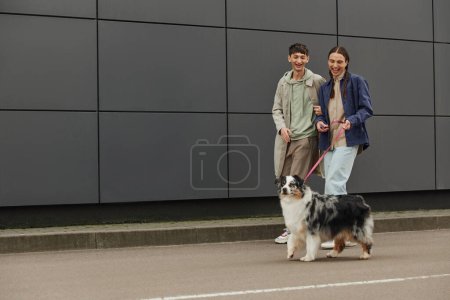 smiling gay man with pigtails holding leash and walking out with Australian shepherd dog and happy boyfriend in casual outfit near modern grey building 