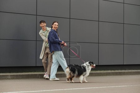 Positiver schwuler Mann mit Zöpfchenfrisur, der eine Leine hält und mit australischem Schäferhund und glücklichem Freund in lässigem Outfit in der Nähe moderner grauer Gebäude spazieren geht