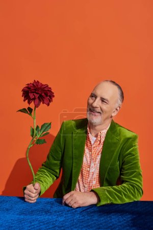 delighted senior and bearded man in green velvet blazer looking at red peony flower while sitting at table with blue velour cloth on vibrant orange background, happy and stylish aging concept