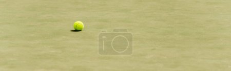 Photo for Nobody on shot, banner, competitive sport, tennis ball on green grass, tennis court, motivation - Royalty Free Image
