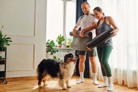 Pleased couple in sportswear holding fitness mats and looking at border collie in living room