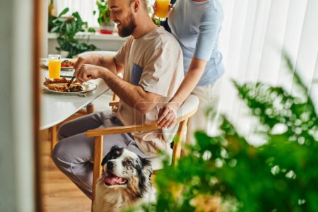 Border collie dog sitting near couple having breakfast and orange juice at home in morning Poster 665725658