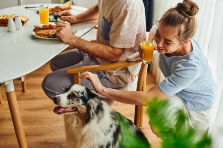 Lächelnde Frau mit Orangensaft und streichelndem Border Collie, während Freund zu Hause frühstückt