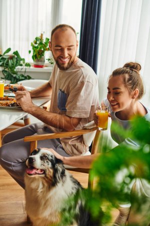Smiling couple with orange juice having breakfast near border collie dog at home in morning tote bag #665725684