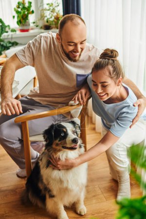 Cheerful couple in homewear petting border collie dog during breakfast in morning at home