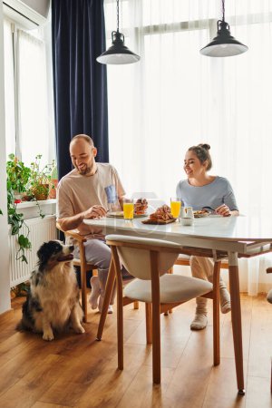 Positive man petting border collie dog while having breakfast with girlfriend in housewear at home tote bag #665725810