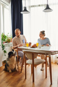 Positive man petting border collie dog while having breakfast with girlfriend in housewear at home hoodie #665725810