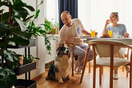 Fröhlicher Mann in Hauskleidung streichelt Border Collie beim leckeren Frühstück mit Freundin zu Hause