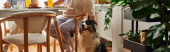 Cropped view of man petting border collie dog and having breakfast with girlfriend at home,banner puzzle #665725830