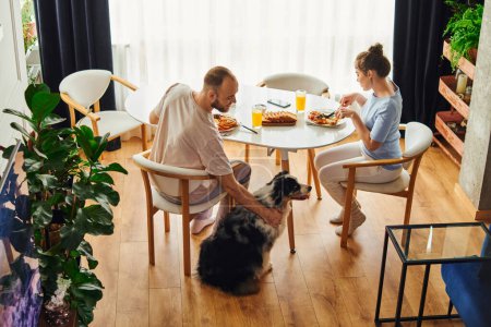 High angle view of smiling man petting border collie while having breakfast with girlfriend at home Poster 665725922