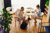 High angle view of smiling man petting border collie while having breakfast with girlfriend at home mug #665725922