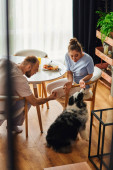 Couple in homewear petting border collie near tasty breakfast at home in morning hoodie #665725956