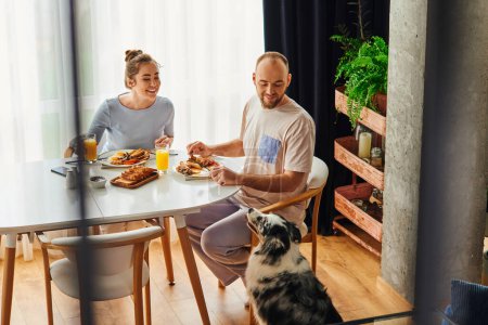 Foto de Pareja positiva en ropa de casa desayunando con zumo de naranja cerca de border collie dog en casa - Imagen libre de derechos