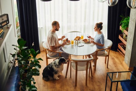 Blick aus der Vogelperspektive auf ein lächelndes Paar in Homewear, das morgens in der Nähe von Border Collie zu Hause frühstückt