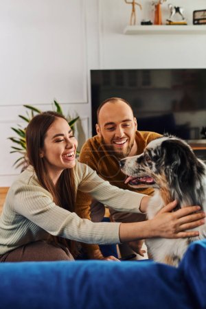 Positive boyfriend and girlfriend in casual clothes petting border collie on couch in living room
