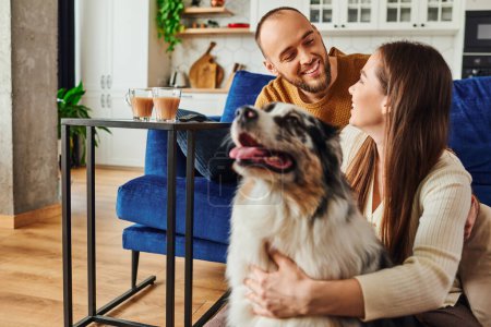 Cheerful couple talking and spending time with border collie near coffee in living room at home