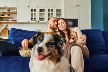 Smiling couple watching movie with popcorn while sitting on couch near blurred border collie at home