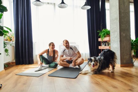 Smiling couple in sportswear having fun while sitting on fitness mats near border collie at home