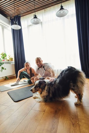 Joyful couple in sportswear petting border collie while sitting on fitness mats at home