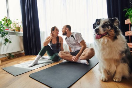 Smiling couple in sportswear sitting on fitness mats near blurred border collie dog at home
