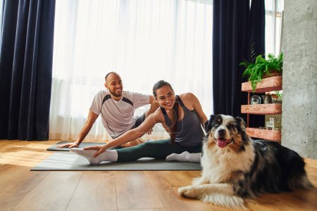 Smiling couple in sportswear looking at border collie while sitting on fitness mats at home