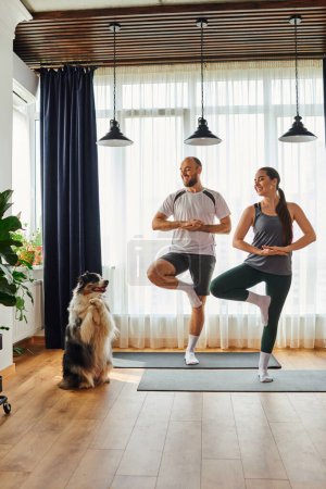 Joyful couple in sportswear standing in yoga pose on fitness mats near border collie at home