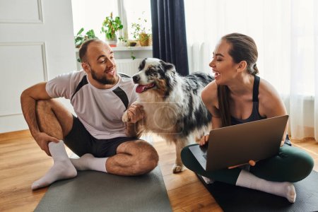 Smiling couple in sportswear talking and using laptop on fitness mats near border collie at home