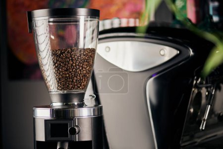 molinillo de café profesional con granos de café tostados y enteros, equipo barista, cafetería