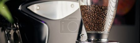 Photo for Whole roasted coffee beans in professional electric coffee grinder, coffee shop appliance, banner - Royalty Free Image