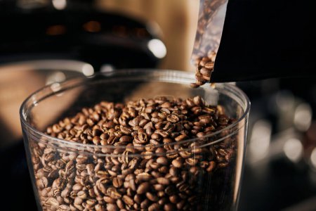 granos de café enteros y tostados en la cafetería, tostado medio, preparación de espresso