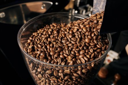selected and medium roasted coffee beans in coffee shop, aromatic and freshness, espresso brew