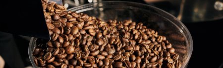 Foto de Granos de café enteros, tostado medio, cafeína fresca, cafetería, preparación de espresso, pancarta - Imagen libre de derechos