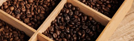 brązowe ziarna kawy w drewnianym pudełku, ciemna pieczeń, kofeina i energia, tło kawy, baner 