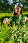 smiling young and blurred indian woman touching green bushes in park in summer Stickers #671994910