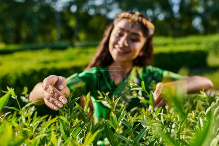 cheerful young indian woman in traditional sari touching green bushes in park
