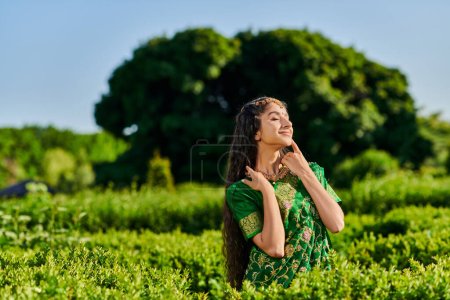 Foto de Mujer india joven positiva y elegante en sari posando cerca de arbustos verdes en el parque en verano - Imagen libre de derechos