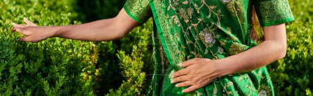 Teilaufnahme einer jungen Frau im grünen Sari mit Muster, die in der Nähe von Pflanzen im Park steht, Banner