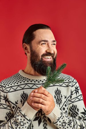 joyful bearded man in winter sweater holding branch of pine tree on red backdrop, Merry Christmas