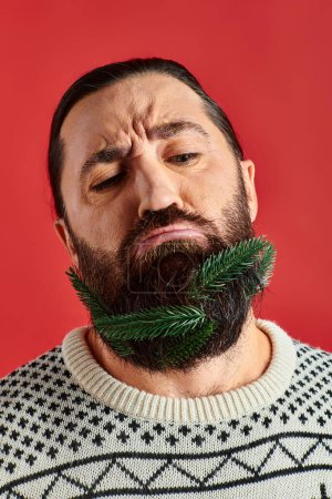 displeased man in Christmas sweater posing with branches of fresh spruce in beard on red backdrop