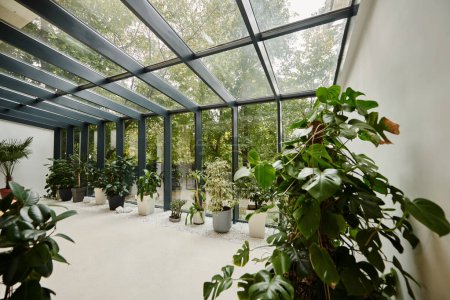 foto interior de la sala de conferencias vacía contemporánea con un montón de plantas frescas verdes en macetas