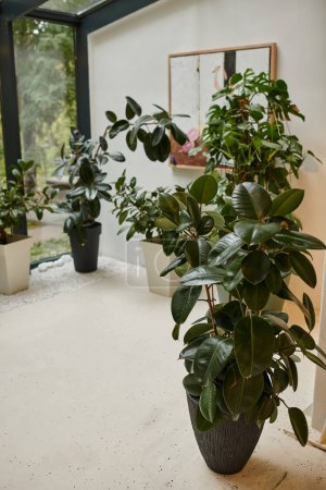 Innenaufnahme eines zeitgenössischen minimalistischen Konferenzraums mit vielen grünen Pflanzen in Töpfen