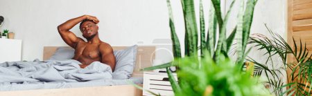 Photo for Charismatic shirtless african american man looking away in bedroom with green potted plants, banner - Royalty Free Image