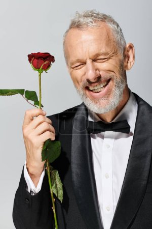 joyous good looking mature man with beard in elegant tuxedo holding red rose near his face
