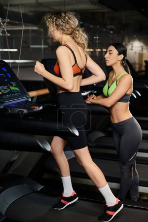 Foto de Buen aspecto atlético entrenador femenino y su cliente rubio en ropa deportiva haciendo ejercicio en la cinta de correr en el gimnasio - Imagen libre de derechos